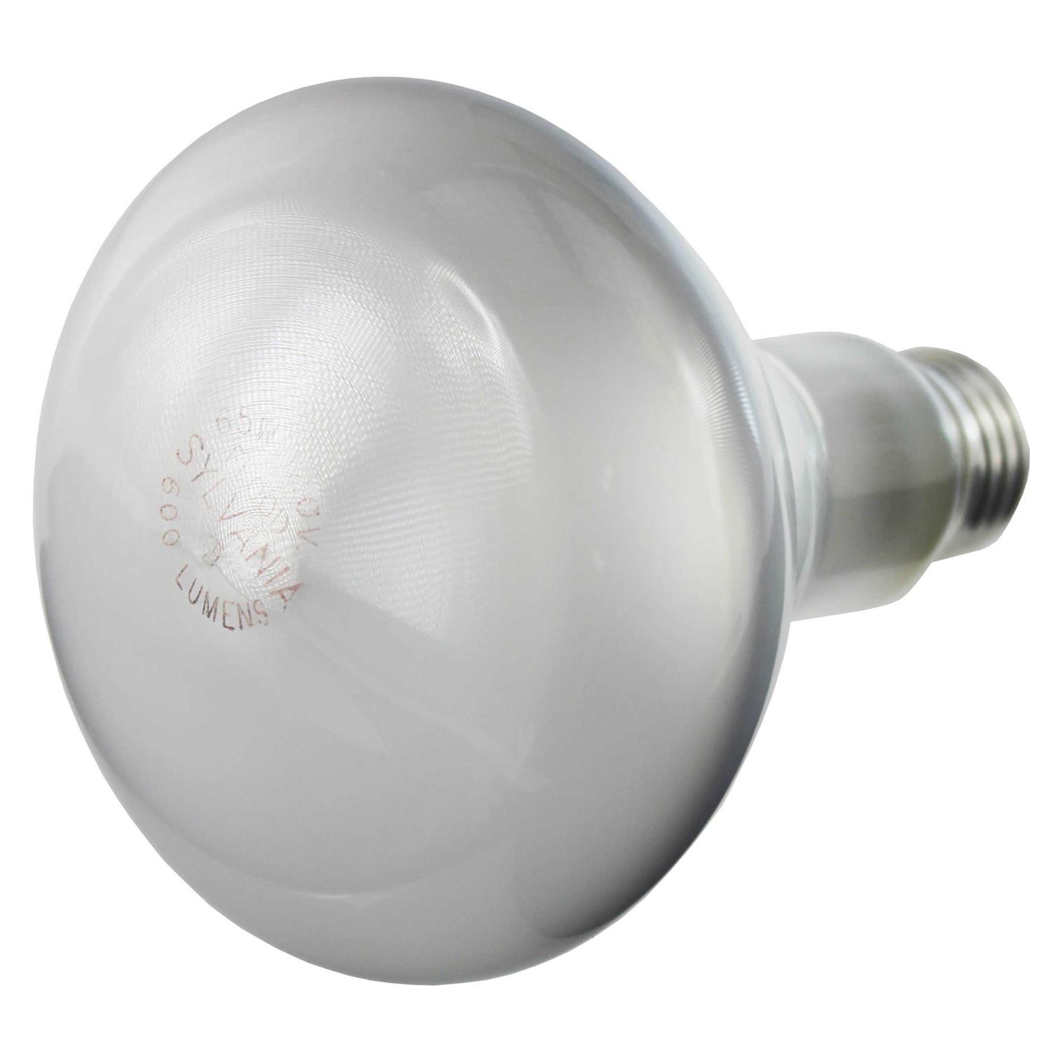 Sylvania 15165 65BR30/FL-120V Lamp