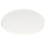 WAC Lighting Lens-20