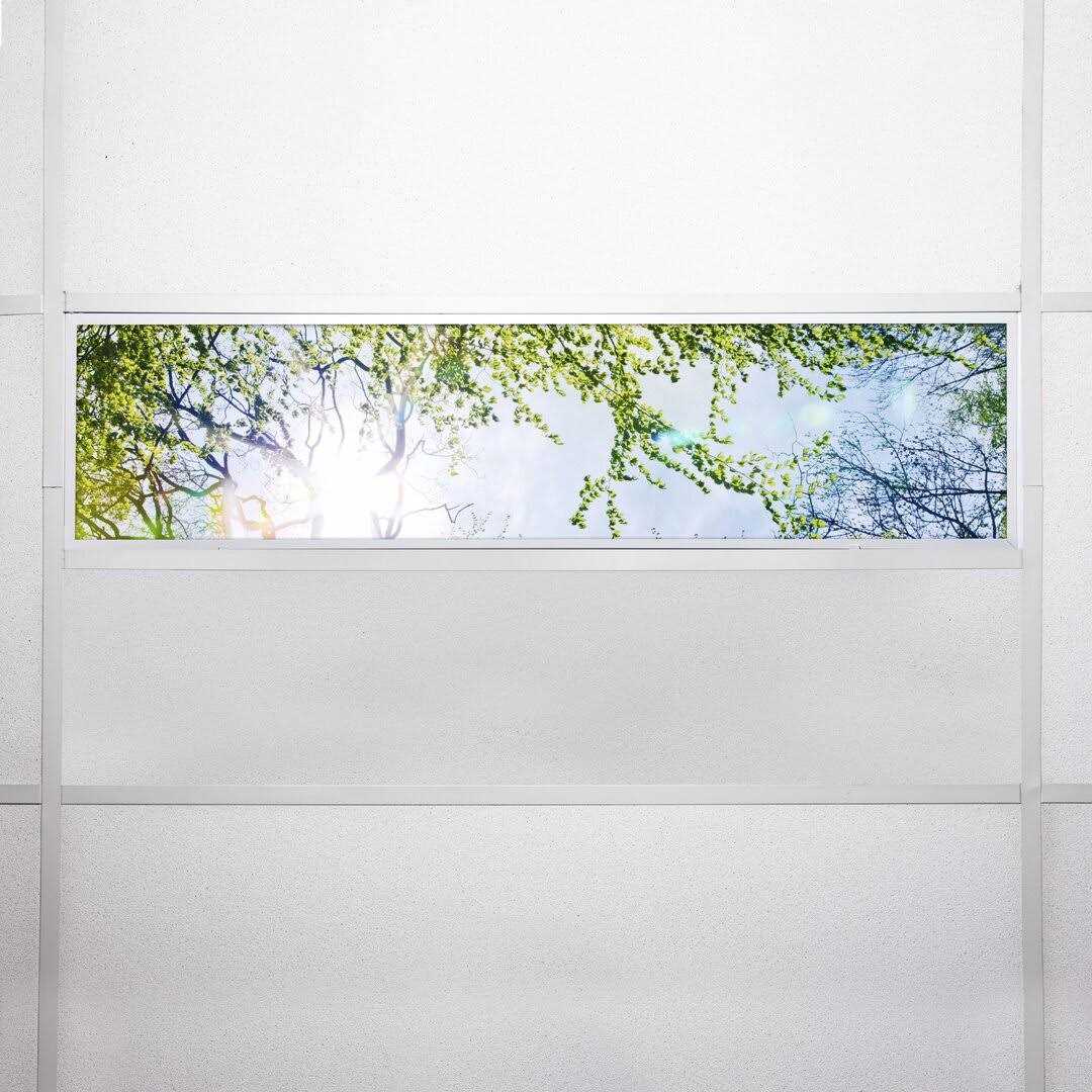 Trees Flexible Decorative Light Cover Octo Lights