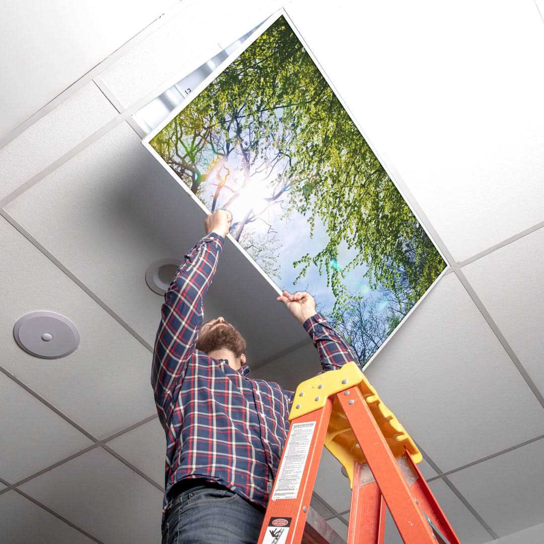 Trees Flexible Decorative Light Cover Octo Lights - Image 3