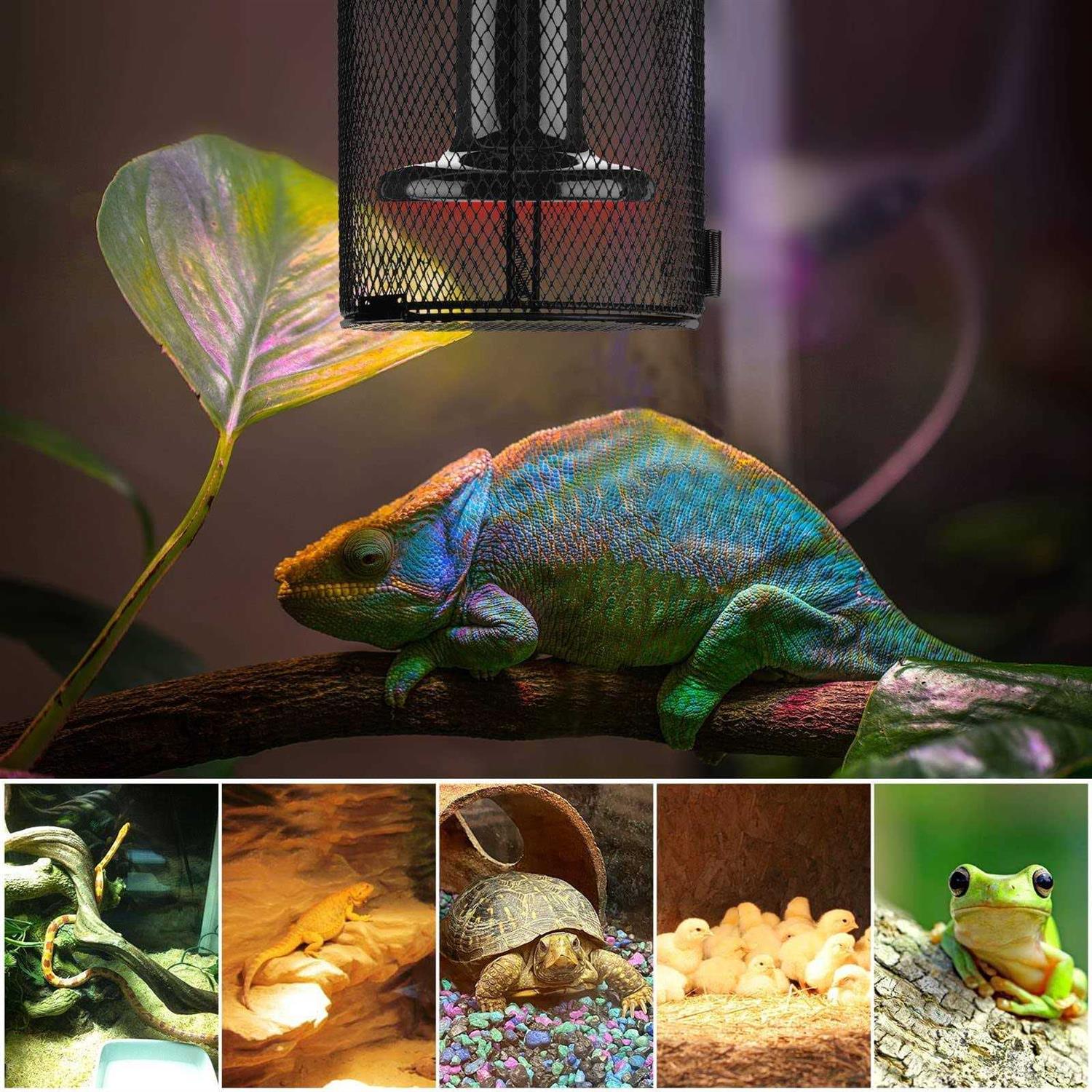 Simple Deluxe 2-Pack Reptile Heater Guard Heat Protector Anti-Scald Cover Mesh Cage - Image 2