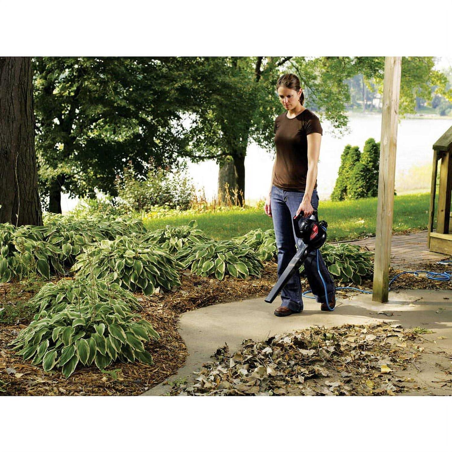 Toro Power Sweep 51585 - Image 3