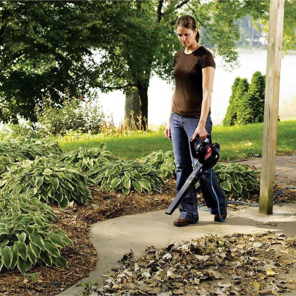 Toro Power Sweep 51585 - Image 5