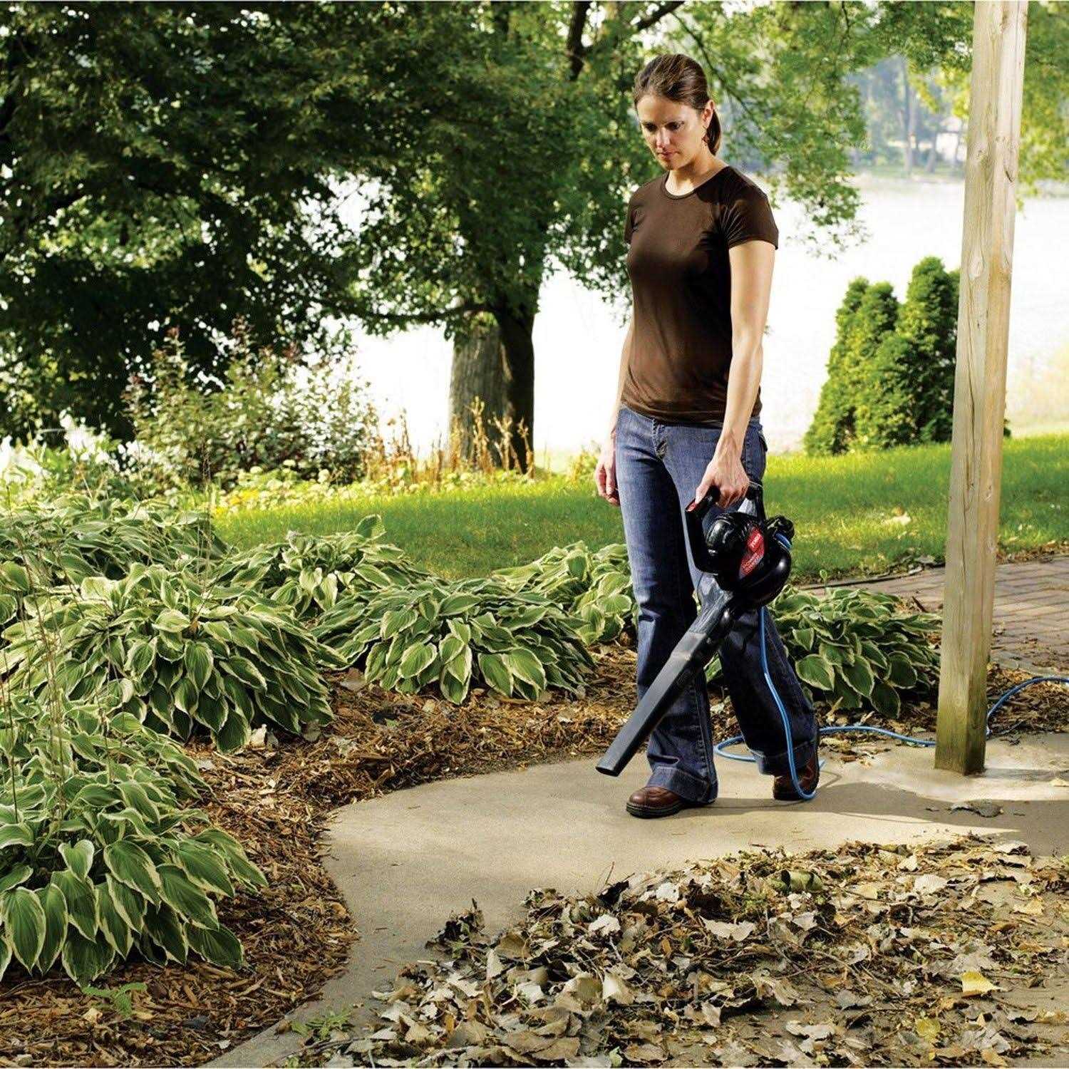 Toro Power Sweep 51585 - Image 4