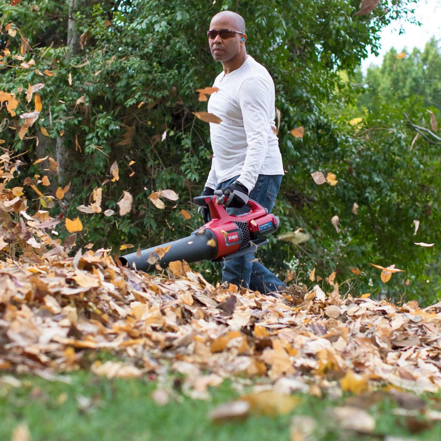Toro Cordless Leaf Blower - Image 4