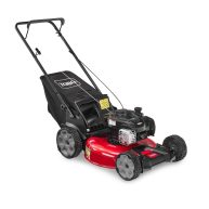 Toro 21 in. Recycler High Wheel Push Gas Lawn Mower