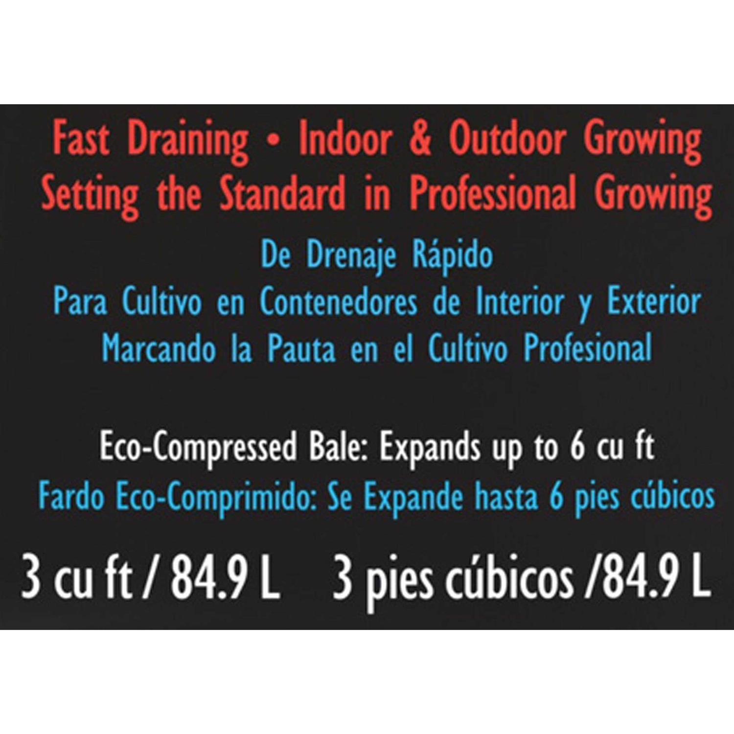 Sunshine Mix #4 - Image 4