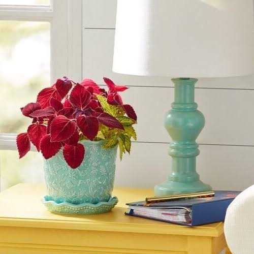 The Pioneer Woman Embossed Daisy Teal Planter - Image 2