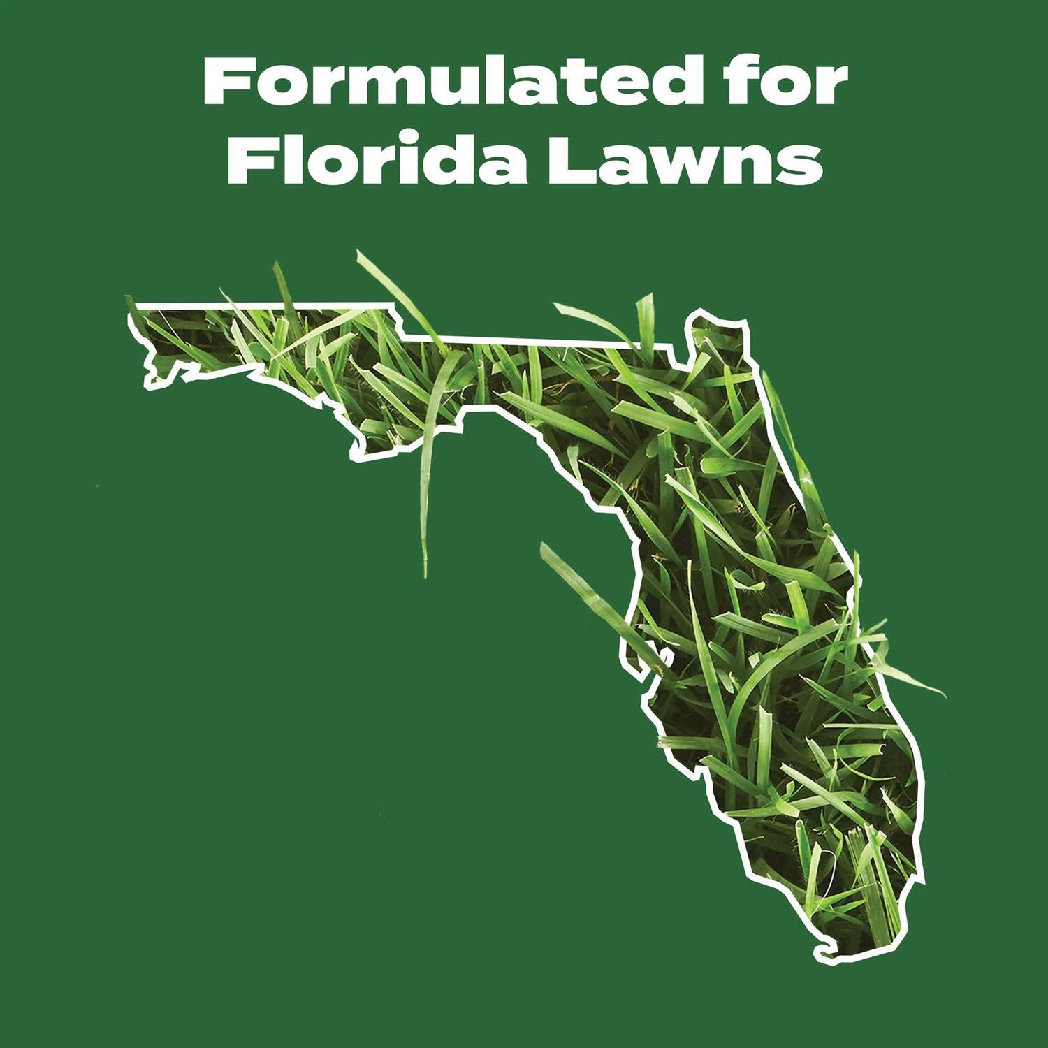 Scotts Southern Lawn Food Turf Builder - Image 2