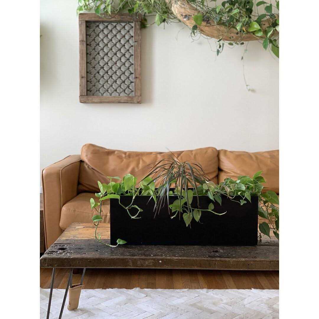 Sol 72 Outdoor™ Cogburn Planter Box Color - Image 5