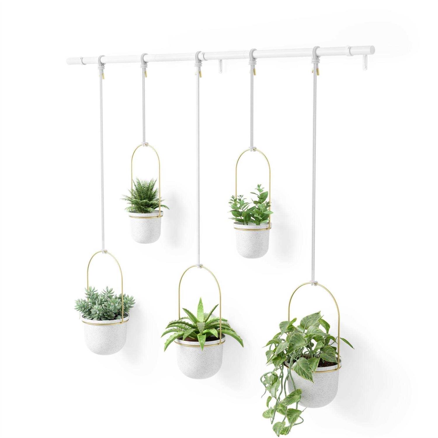 Umbra Triflora Hanging Planter - Image 2