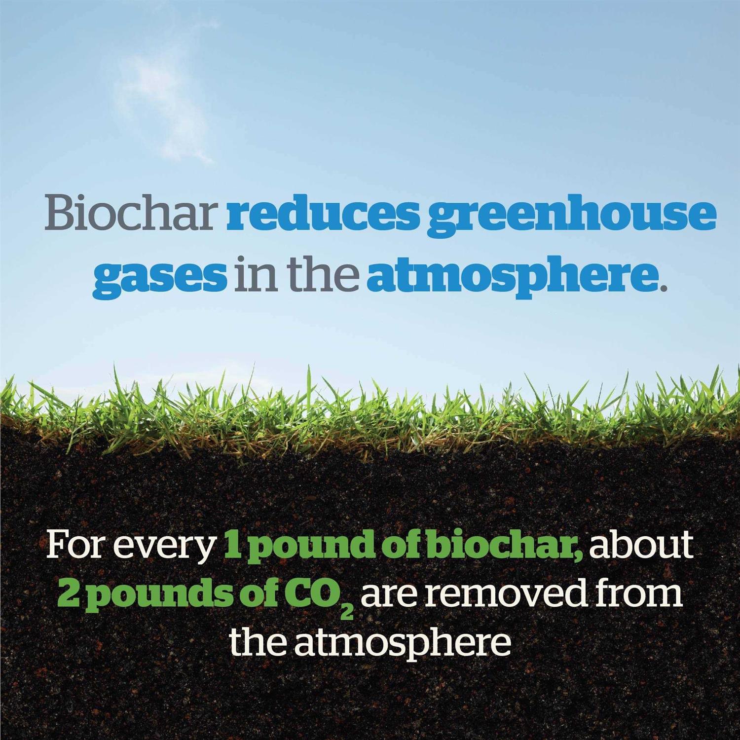 Wakefield Biochar Soil Conditioner - Image 5