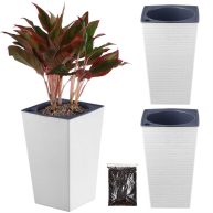 Self Watering Planters Tall Planter for Indoor Plants