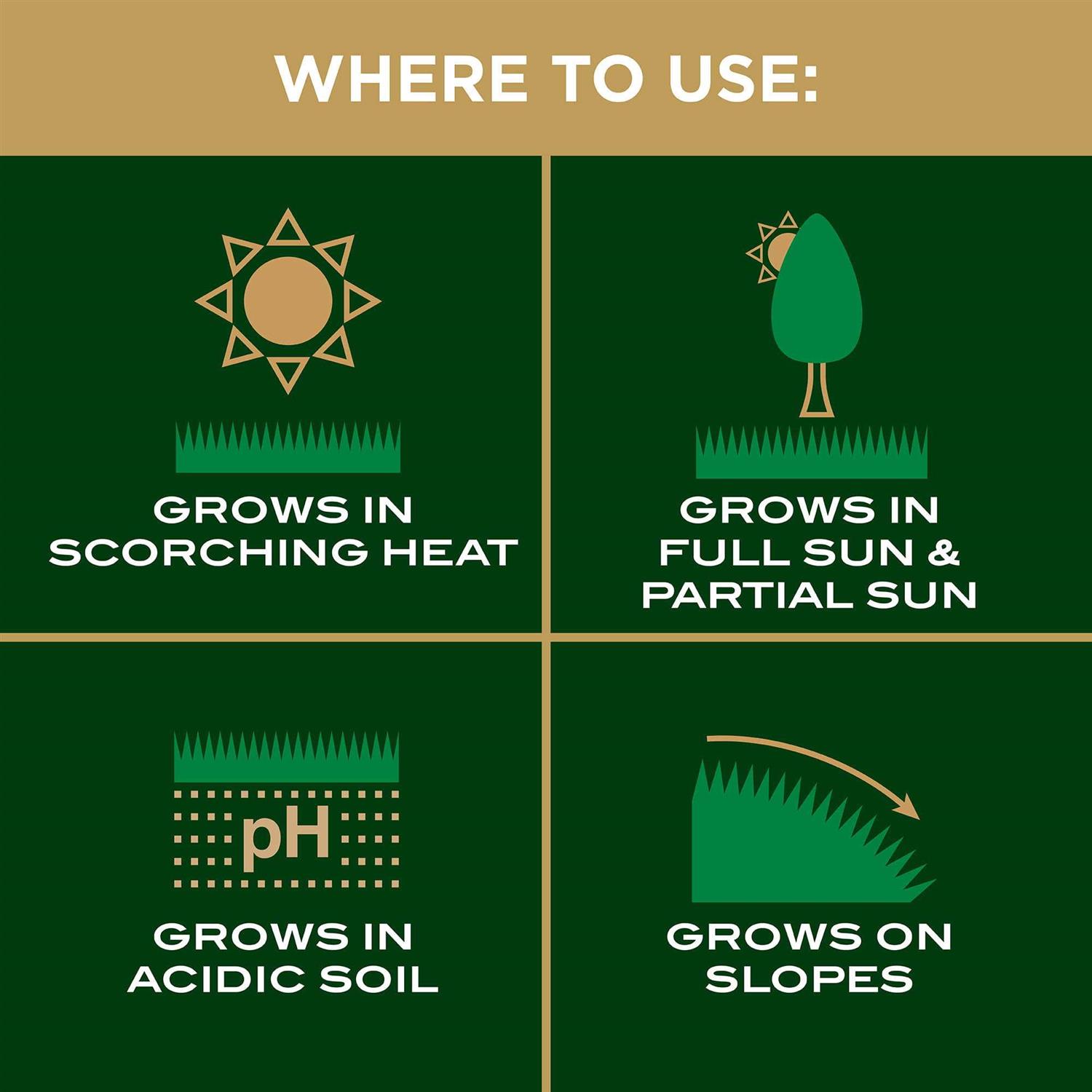 Scotts EZ Patch Repair - Image 4