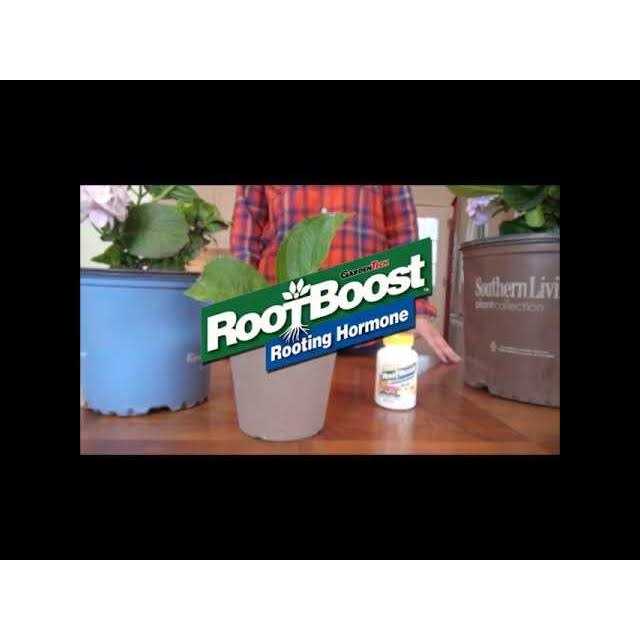 RootBoost Rooting Hormone Powder - Image 5