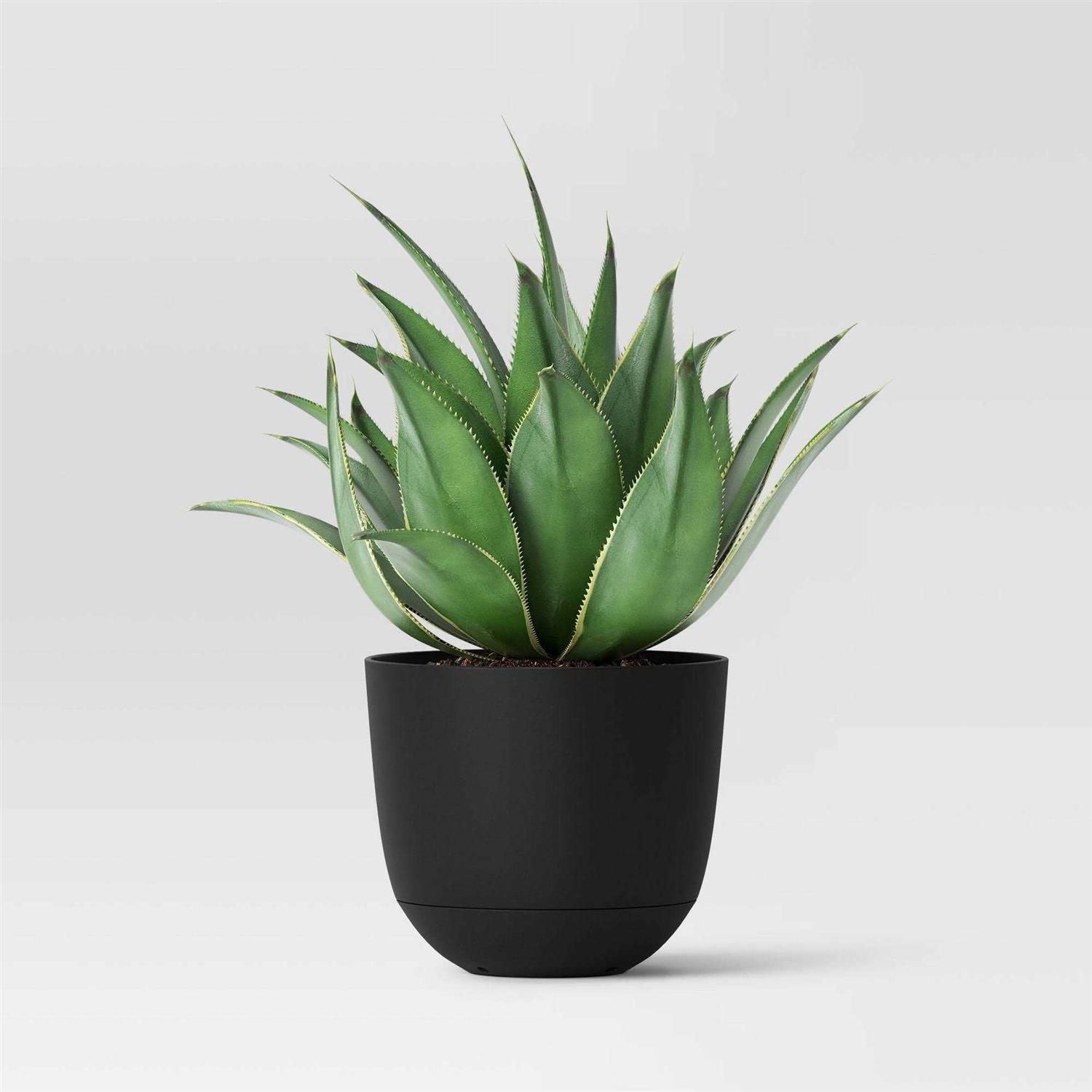 Room Essentials Wide Self-Watering Indoor Outdoor Planter Pots - Image 3