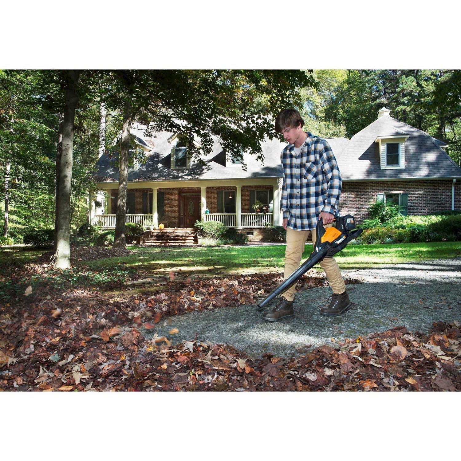 Worx 40V 4.0Ah Cordless Leaf Blower/Vac/Mulcher - Image 2