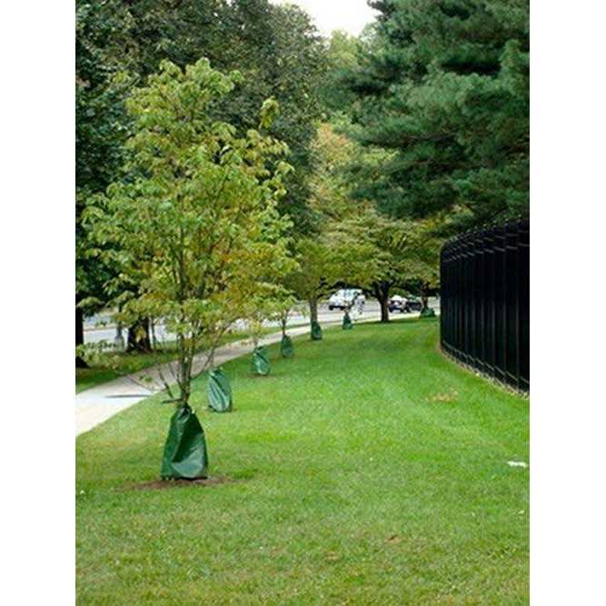 Treegator Original Slow Release Watering Bag - Image 4