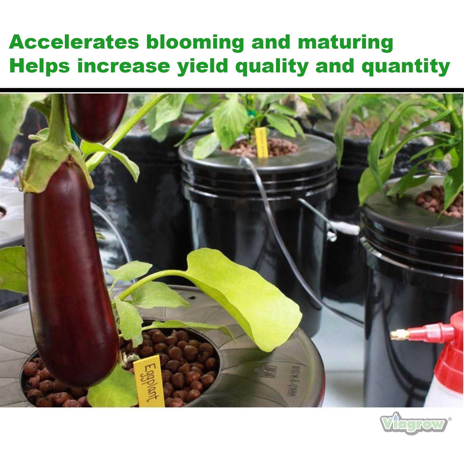 Viagrow Viastone Expanded Clay Pebbles - Image 3