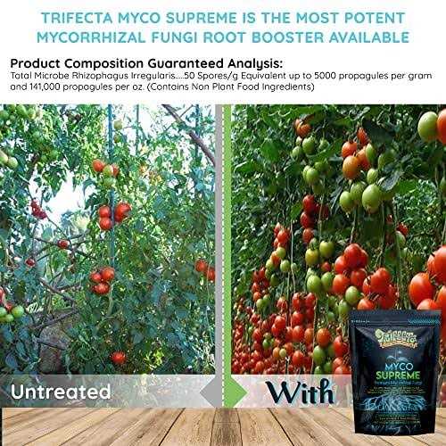 Trifecta Myco Supreme - Image 5