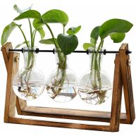 Xxxflower Plant Terrarium with Wooden Stand Air Planter Bulb Glass Vase Metal Swivel Holder Retro Tabletop for Hydroponics Home Garden Office