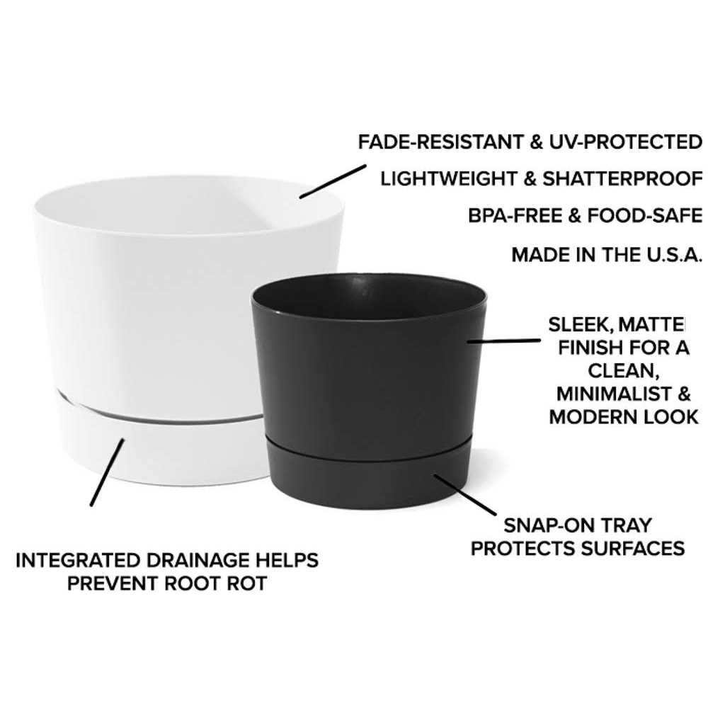 Root & Vessel Majestic Mid-Century Modern Low Profile Cylinder Pot - Image 5