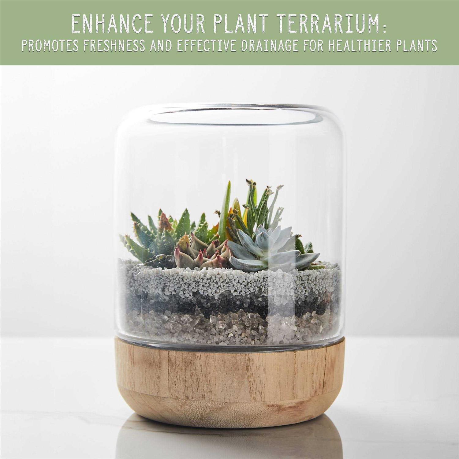 Soil Sunrise Horticultural charcoal for Indoor Plants, Hardwood Soil Amendment for Orchids, Terrariums, and gardening - Image 2