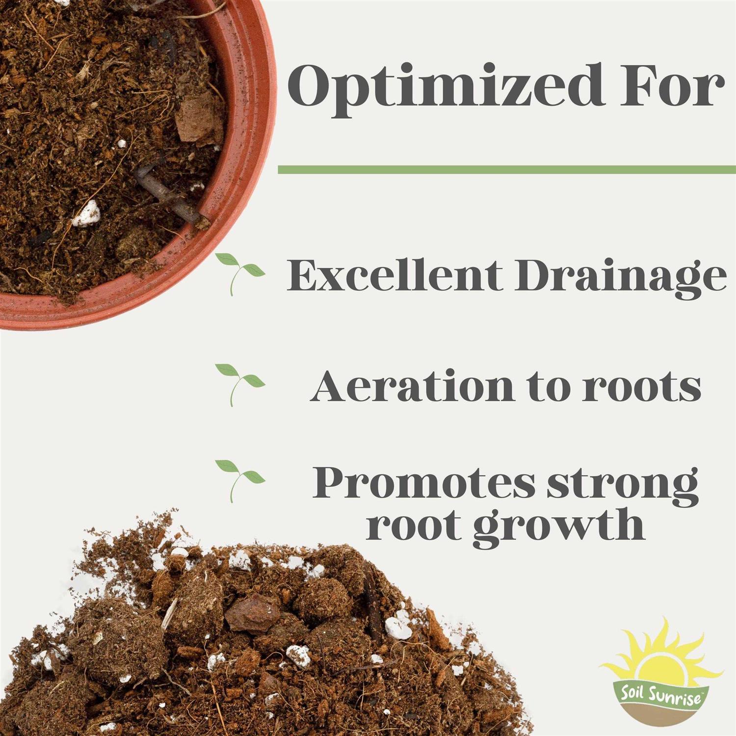 Soil Sunrise Monstera Houseplant Potting Soil Mix - Image 5