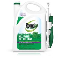 Roundup Weed Killer