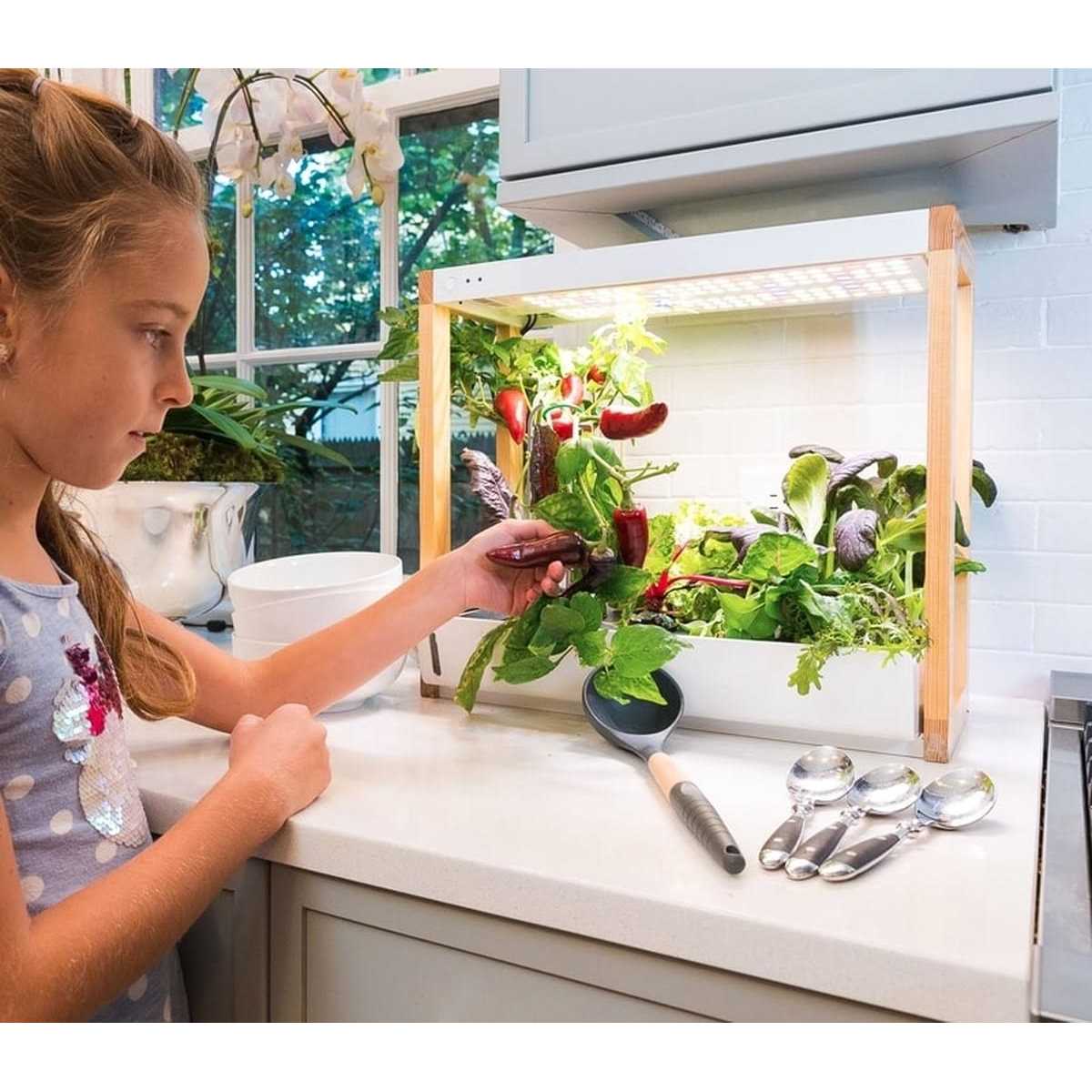 Rise Gardens Personal Indoor Rise Garden - Image 5