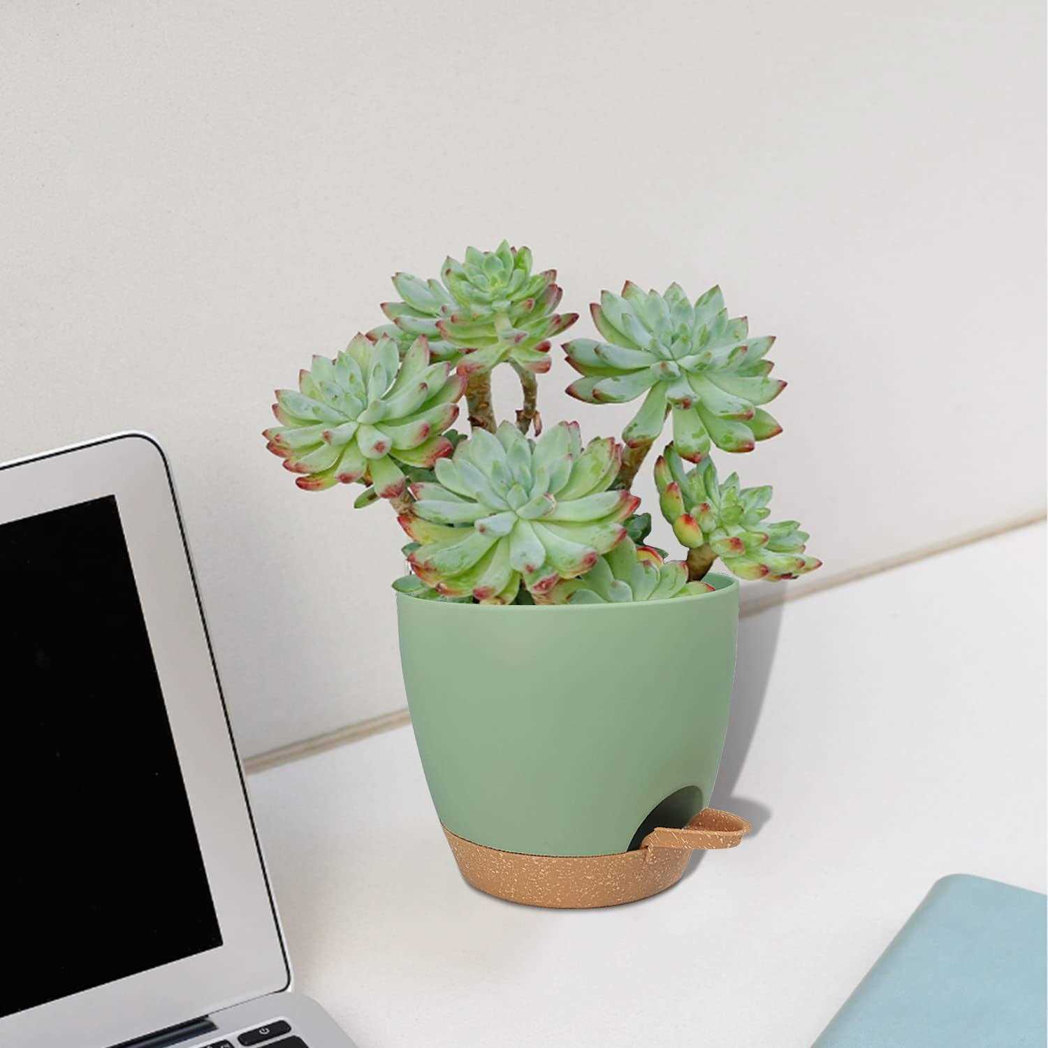 Self Watering Planters with Drainage Holes Reservoir,Nursery Planting Pot for Indoor Decor Garden Plants Succulents,Snake Plant - Image 2