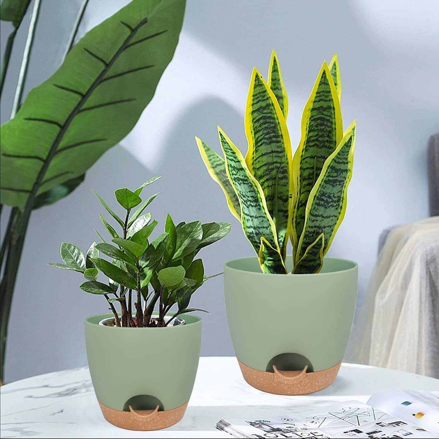 Self Watering Planters with Drainage Holes Reservoir,Nursery Planting Pot for Indoor Decor Garden Plants Succulents,Snake Plant - Image 5