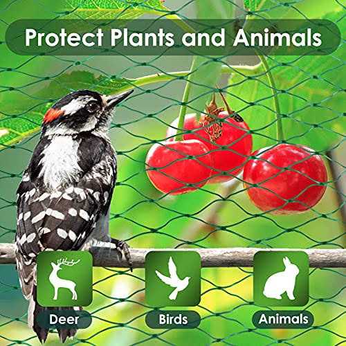 Ruolan Bird Netting for Garden Protect Vegetable Plants and Fruit Trees,Plastic Trellis Netting for Birds, Deer,Squirrels and Other Animals - Image 5