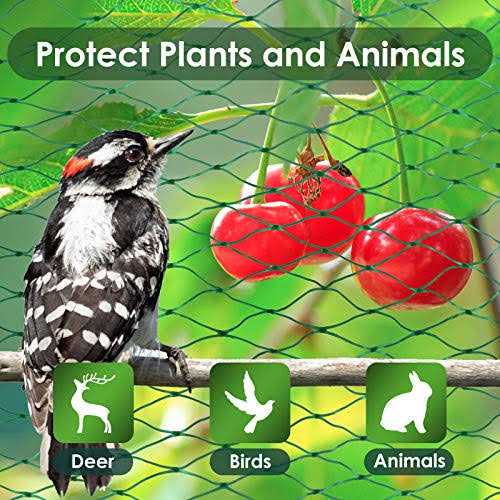 Ruolan Bird Netting for Garden Protect Vegetable Plants and Fruit Trees,Plastic Trellis Netting for Birds, Deer,Squirrels and Other Animals - Image 3