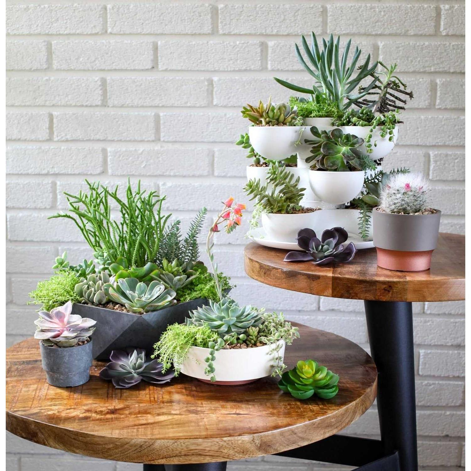 The HC Companies 6 Inch Round Capri Succulent Pot - Image 2