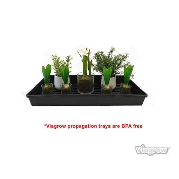 Viagrow 10 in. x 20 in. Extra-Strength Quad Seed Starter Propagation Tray - Image 2