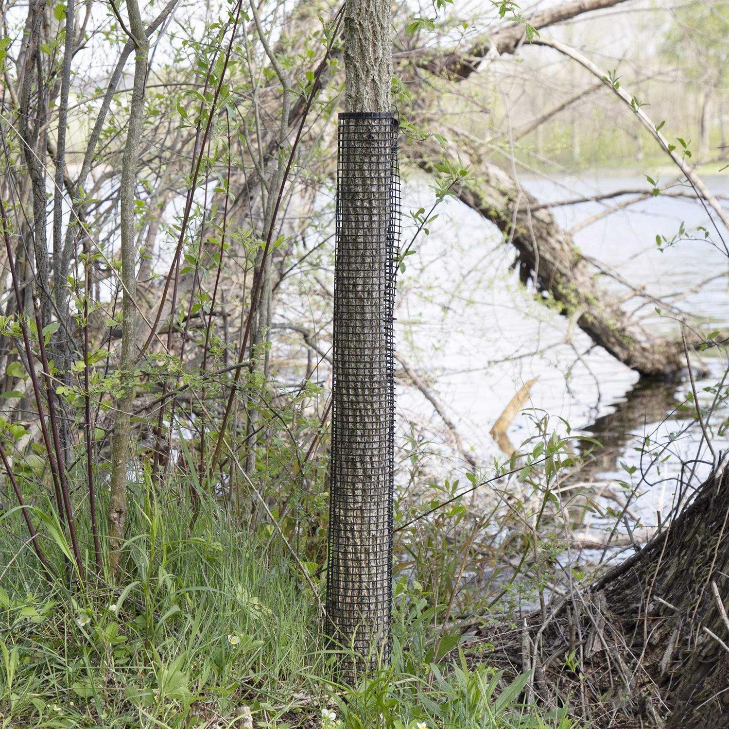 Tree Guard Pack Plastic Mesh Tree Bark Protector - Image 4