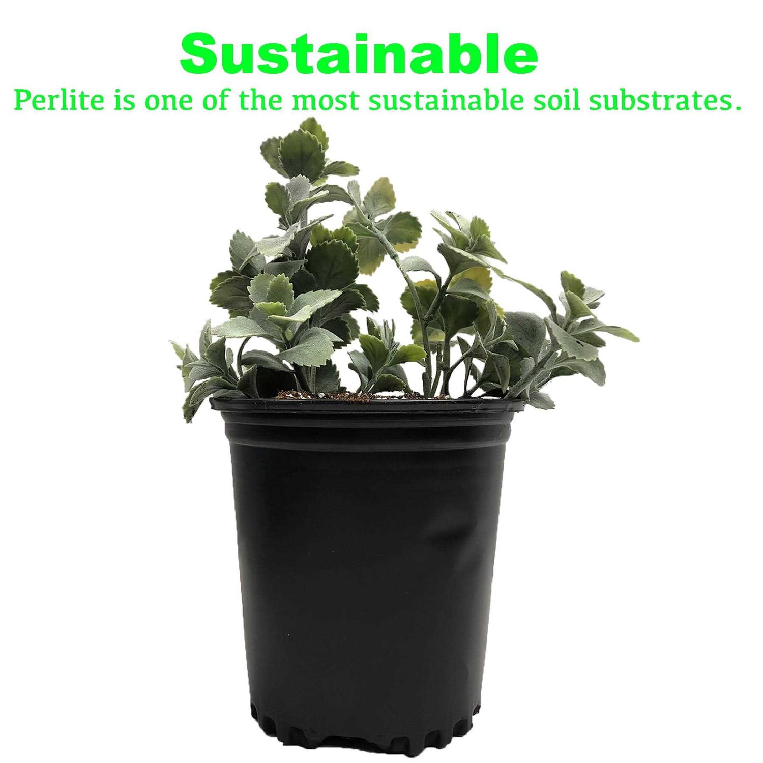 Viagrow 4 cu. ft. Perlite - Image 4