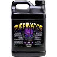 Rhizoflora Purpinator