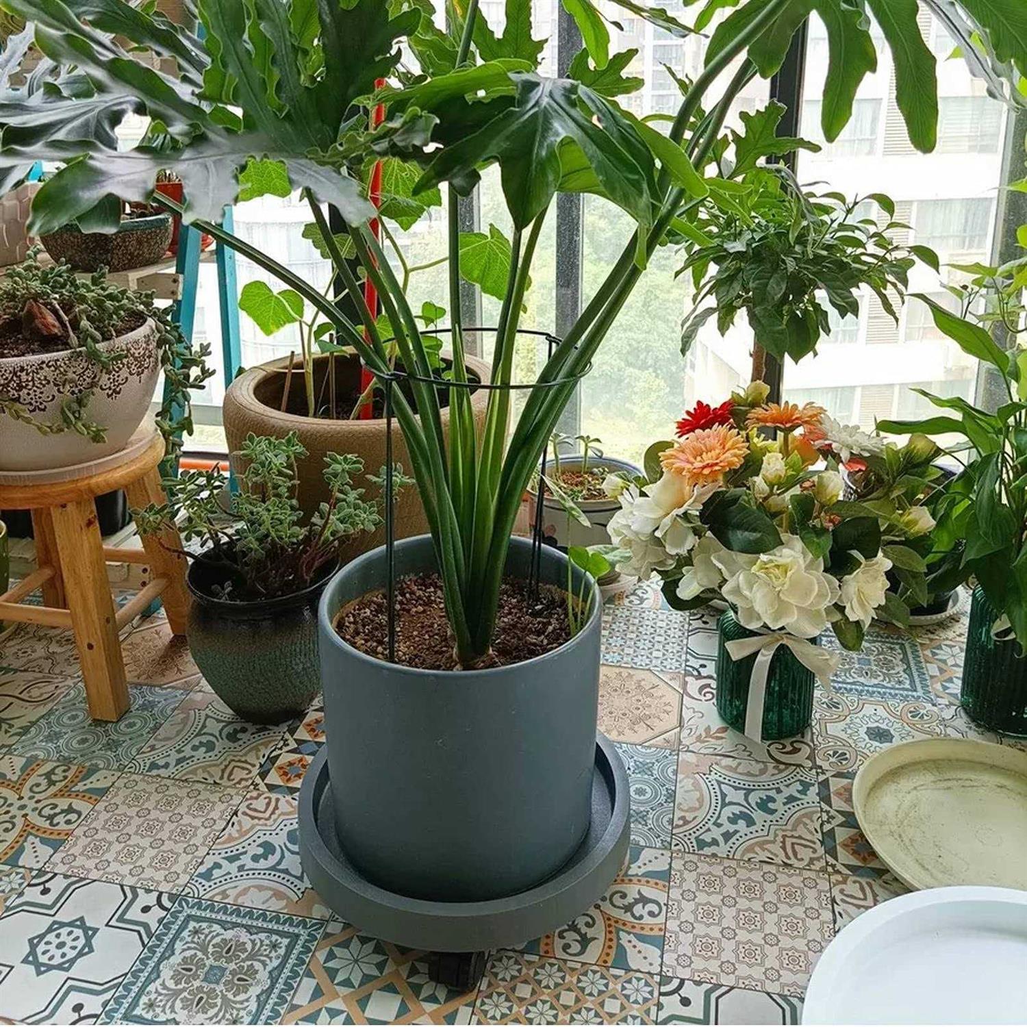 WanderingDonkey 2 Pack of 11 Inch Heavy Duty Plant Caddy with Wheels,Rolling Plant Stand Pot Trolley,Wheeled Planter Saucer Tray,Potted Flower Mover Dolly w - Image 4