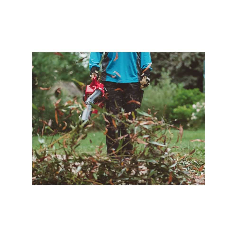 Shindaiwa EB252 Handheld Blower - Image 5