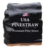 USA Pine Straw