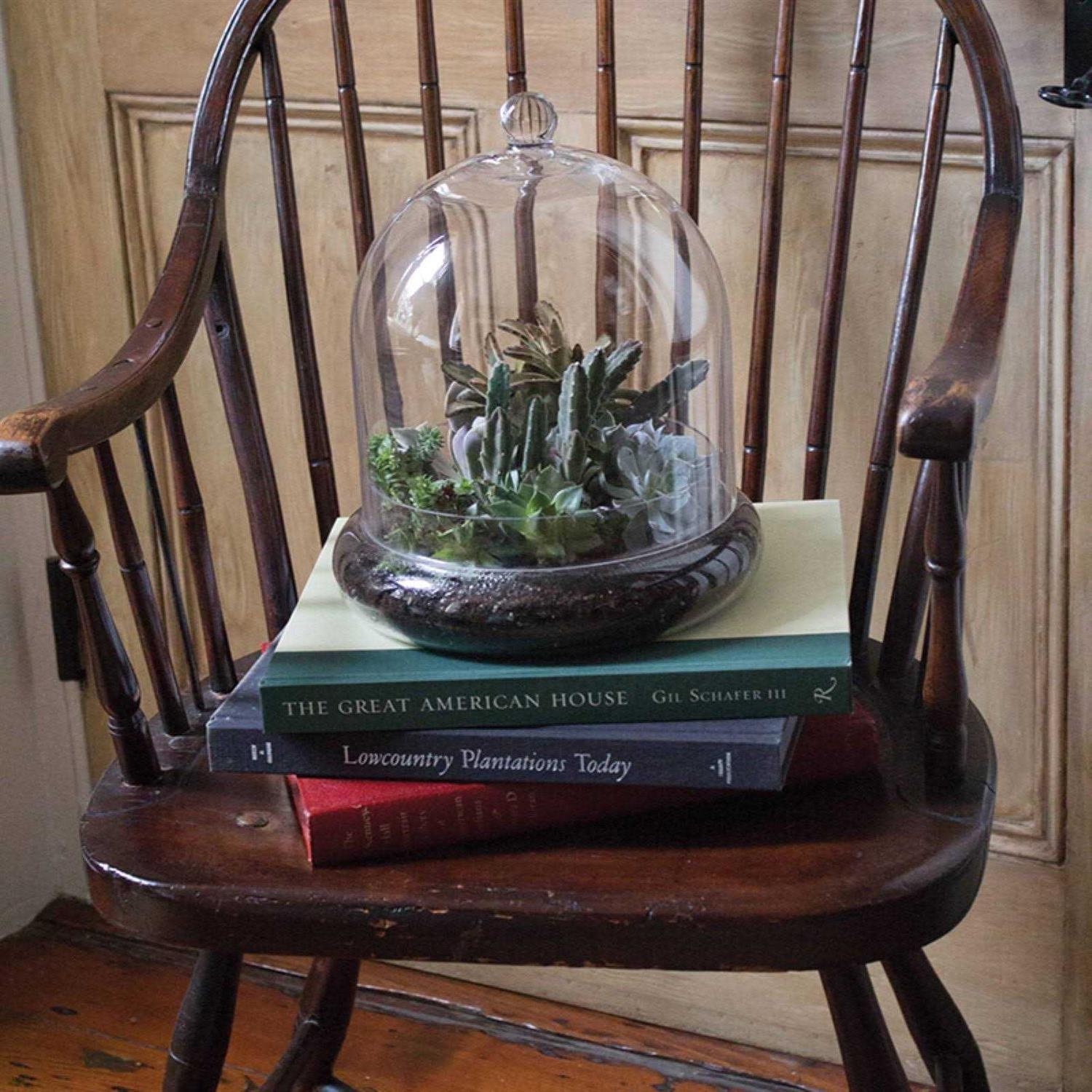 Syndicate Home Garden 6 Cloche Terrarium - Image 3