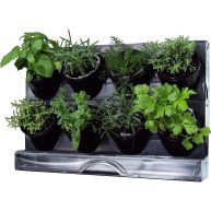 Watex Countertop Garden Kit