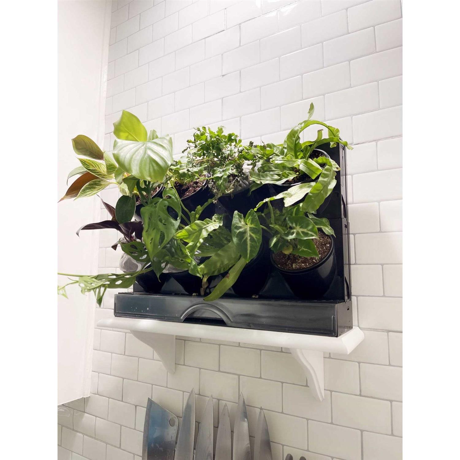 Watex Countertop Garden Kit - Image 5