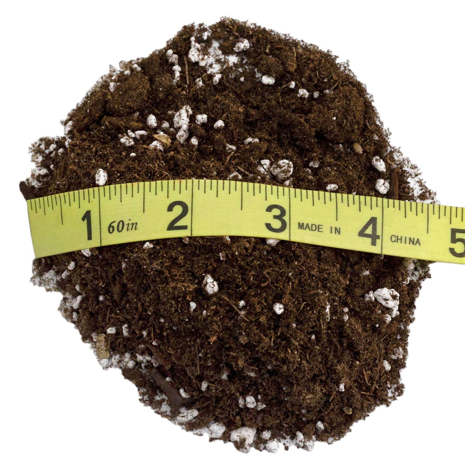 Soil Sunrise Avocado Tree Potting Soil Mix - Image 3