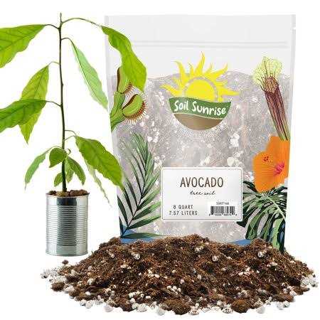 Soil Sunrise Avocado Tree Potting Soil Mix - Image 4