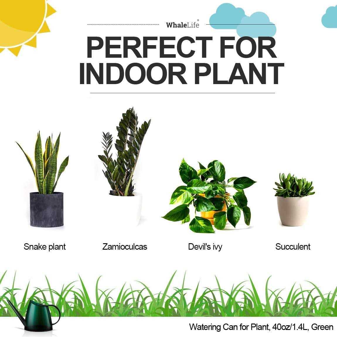 Whalelife Indoor Watering Can for House Bonsai Plants Garden Flower Long Spout 40oz - Image 2