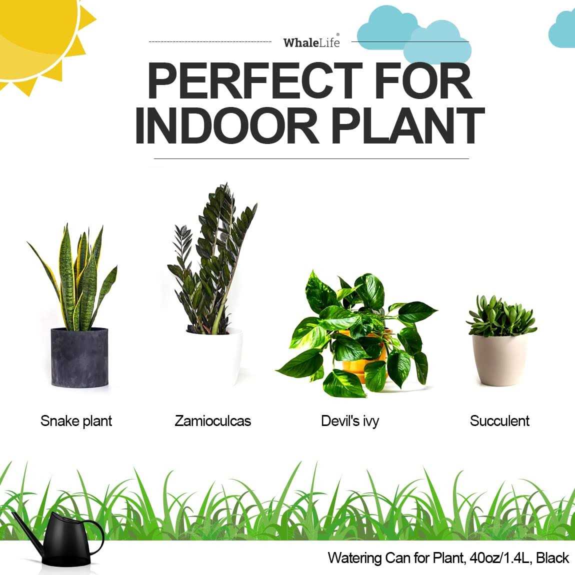 Whalelife Indoor Watering Can for House Bonsai Plants Garden Flower Long Spout 40oz - Image 2