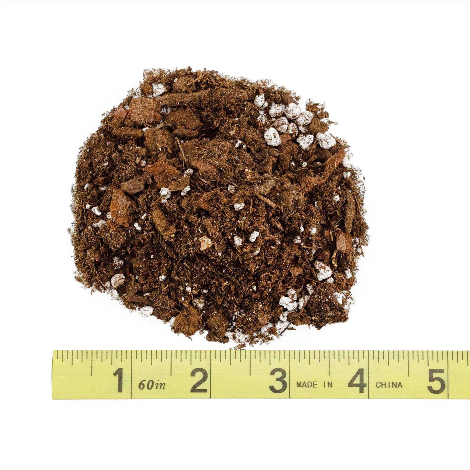 Soil Sunrise Peace Lily Potting Soil Mix - Image 2